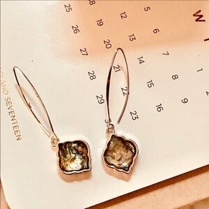 Abalone Earrings